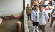 Relokasi RPH Khusus Babi dari Kawasan Ampel ke Banjarsugihan, Wali Kota Eri: Tempatnya Lebih Besar dan Nyaman