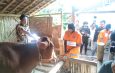 Polres Lumajang Gelar Rekontruksi Pencurian Sapi Dusun Sentono Desa Krai