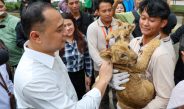 Pemkot Surabaya Cari Pemimpin KBS yang Perkuat Konservasi dan Edukasi
