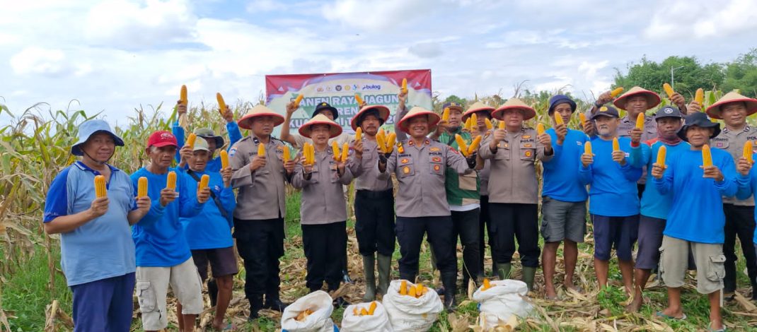 Polsek Balongbendo Targetkan 60 Ton Hasil Produksi