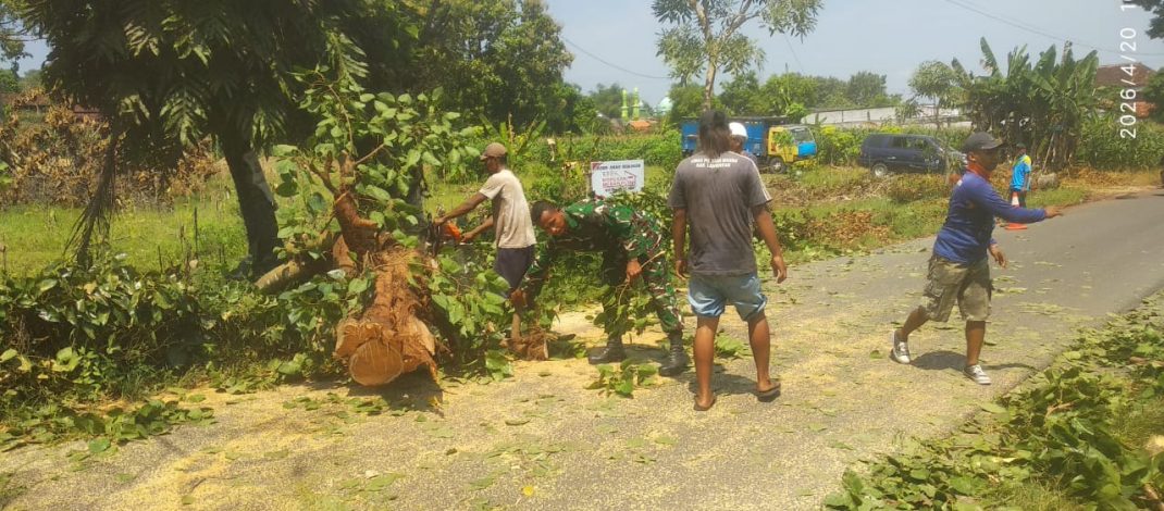 Babinsa Koramil 0812/12 Modo Bersama Warga Gotong Royong Bersihkan Ruas Jalan Dradah–Sukorame di Desa Yungyang