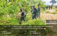 Hijaukan Desa, Koramil 0812/12 Kedungpring Gelar Aksi Tanam Pohon di Mekanderejo
