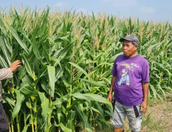 Tingkatkan Swasembada Pangan, Polsek Candi bersama Petani Kelola Lahan Jagung