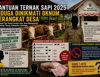Anggota Kelompok Ternak Keluhkan Bantuan Sapi Tak Merata, Ada Dugaan Konflik Kepentingan