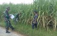 Kodim 0812 Lamongan Gelar Latihan Teknis Teritorial Tersebar di Desa Maur, Kembangbahu