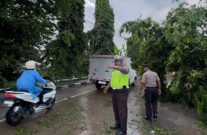 Polres Lamongan Bergerak Cepat Evakuasi Pohon Tumbang Akibat Tertabrak Truk Tangki di Babat