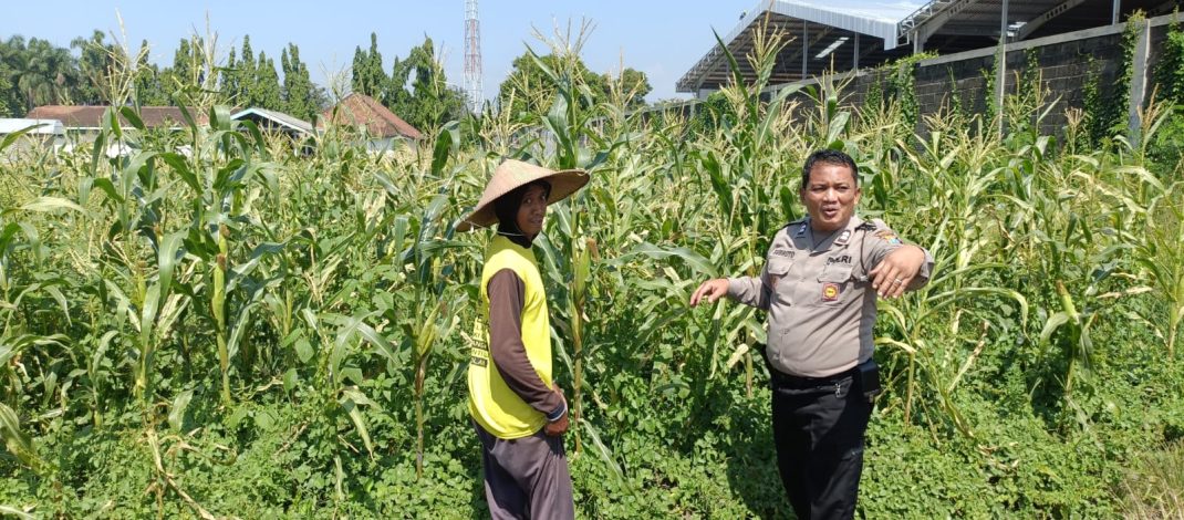 Petani Desa Lebo Apresiasi Dukungan Polisi Terhadap Upaya Ketahanan Pangan 