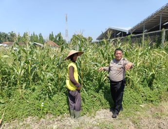 Petani Desa Lebo Apresiasi Dukungan Polisi Terhadap Upaya Ketahanan Pangan 