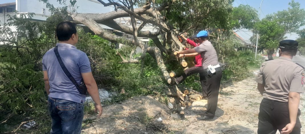 Respon Cepat Polsek Deket Evakuasi Pohon Tumbang, Arus Lalu Lintas Kembali Lancar
