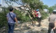 Respon Cepat Polsek Deket Evakuasi Pohon Tumbang, Arus Lalu Lintas Kembali Lancar