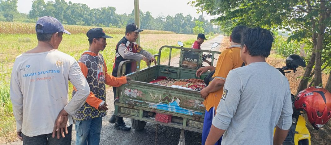 Polisi dan Petani di Balongbendo Kelola Tanaman Jagung