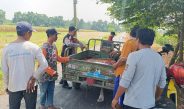 Polisi dan Petani di Balongbendo Kelola Tanaman Jagung