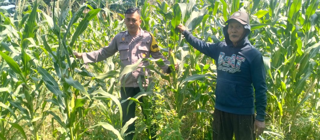 Polsek Gedangan Masifkan Pendampingan Program Swasembada Pangan