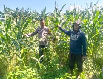 Polsek Gedangan Masifkan Pendampingan Program Swasembada Pangan