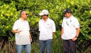 BRIDA Surabaya Kembangkan Pirolisis Ubah Sampah Plastik Mangrove Jadi Bahan Bakar