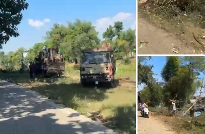 Penebangan Brutal Pohon di Bantaran Sungai Ngrowo! Kayu Besar Hilang, Bintara Center Desak Aparat Usut Tuntas