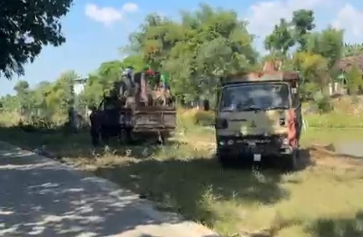 Bintara Center Lapor APH, Dugaan Penebangan Pohon di Bantaran Ngrowo Diselidiki