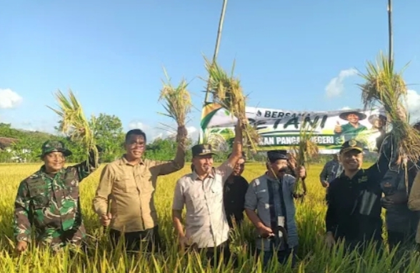 Tradisi Petik Padi di Kalidawir, Petani Sampaikan Aspirasi Pada Plt Bupati Tulungagung