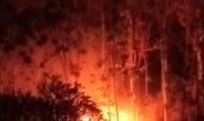 Sekitar 1,5 Hektare Hutan Jati dan Ladang Warga di Tulungagung Terbakar
