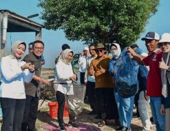 Panen Raya Bandeng Udang di Medokan Ayu Rungkut, DPRD Surabaya Minta Jalan Distribusi Segera Diperbaiki